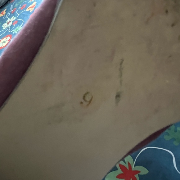 Purple/Plum Ankle Boots - Picture 9 of 16